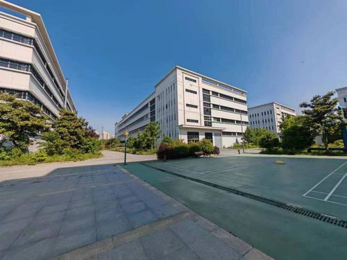 蕪湖市一個(gè)大型電子廠第二次拍賣,被杭州一家公司1.5億買下