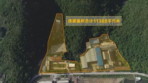 寧波鄞州區 張家山地塊涉污違建項目多