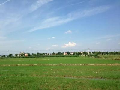 永久基本農(nóng)田保護(hù)跑出杭州速度 兩部長(zhǎng)點(diǎn)贊