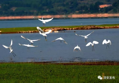 一湖山水非等閑 淳安推進綠色發展紀事