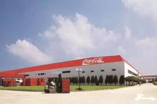 熱 熱 熱 會有酷炫手環替我來愛你 免費送 送 送