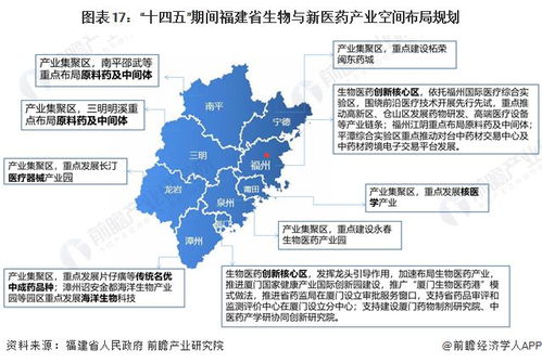 重磅 2023年福建省生物與新醫(yī)藥產(chǎn)業(yè)鏈全景圖譜 附產(chǎn)業(yè)政策 產(chǎn)業(yè)鏈現(xiàn)狀圖譜 產(chǎn)業(yè)資源空間布局 產(chǎn)業(yè)鏈發(fā)展規(guī)劃
