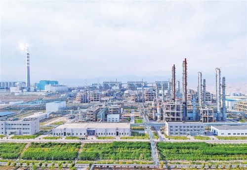 聚焦 八大產業集群 新質生產力在新疆乘風起勢