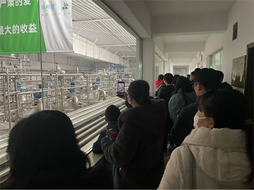 杭州網(wǎng)小記者走進(jìn)牛奶工廠,解密牛奶生產(chǎn)