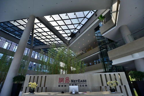 滿(mǎn)街都是靠 演戲 帶貨的男男女女,杭州為何會(huì)成為中國(guó)最大的 網(wǎng)紅 工廠