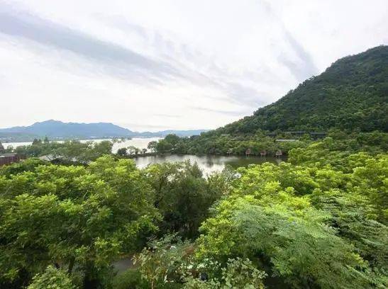 山海金 四 上海老文青浙江山野詩意棲居,引來大波俊男靚女打卡