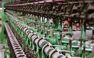 聽說最近杭州天氣不錯,適合去運河邊緩緩神