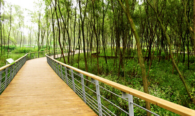 杭州五大地質遺跡點榮登“我喜愛的地質遺跡點”榜單