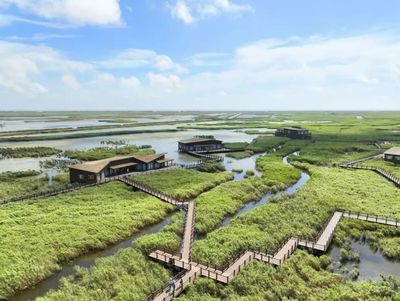 上海方案引領全球超大城市生態修復新范式——杭州國土資源考察團赴滬交流紀實